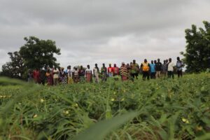 À Ouagadougou, 09 février 2025, le Burkina Faso vient d’adopter une réforme majeure dans la gestion foncière des terres agricoles. Désormais, les étrangers ne pourront plus obtenir de titres de propriété sur les terres rurales