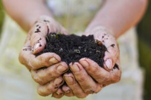 La Terre noire ou Terra preta en portugais est aujourd'hui un engrais d'une fertilité exceptionnelle qui doit sa richesse à l'association du charbon de bois, de compost et de déchets organiques