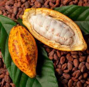 Au cours de l'année 2024, certains produits ont connu des flambées de prix, à l'image du cacao (+126 %).