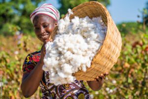 Le Bénin veut capter toute la valeur de son coton grâce à la transformation locale.