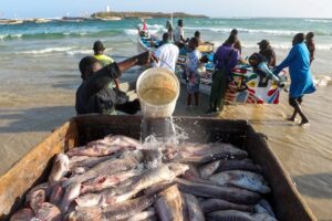 Le 29 avril 2025, le Cameroun a officialisé son adhésion à la Charte mondiale pour la transparence dans la pêche