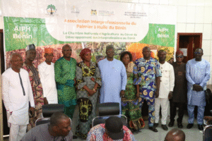 Démarrée depuis le jeudi 20 février dernier, l'Assemblée Générale Constitutive de la filière palmier à huile au Bénin a repris ce mardi 29 avril 2025 à la chambre nationale d'Agriculture du Bénin(CNAB).