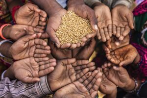 Les représentants des États membres, experts agricoles et partenaires techniques et financiers se sont retrouvés à Lomé, au Togo, du 10 au 12 avril 2025, pour la concertation du dispositif régional de Prévention et de Gestion des Crises Alimentaires (PREGEC). À l’ordre du jour : la validation des données agricoles de la campagne 2024-2025, l’analyse des marchés et les perspectives de sécurité alimentaire. À l'issue de cette rencontre, les résultats rapportés inquiètent.
