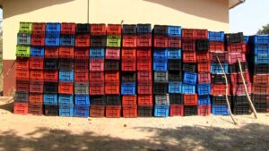 Au Bénin, la filière mangue joue un rôle essentiel dans l’économie agricole, en générant des revenus pour de nombreux producteurs et en contribuant à l’activité économique locale. Malgré ce potentiel, la filière est confrontée à plusieurs défis majeurs : récolte inappropriée, pertes post-récolte, insuffisance d’emballages adaptés, routes dégradées et faiblesses logistiques. Face à ces contraintes, les producteurs peinent à valoriser pleinement leur production.