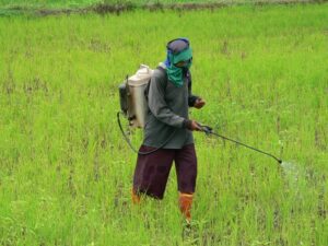 Le mercredi 2 juillet 2025, le Conseil des ministres du Bénin a décidé d’interdire aux services techniques publics de faire des prestations phytosanitaires payantes. Cette décision veut arrêter les agents publics qui réalisent ces services sans autorisation. Le ministre de l’Agriculture doit faire respecter cette règle et punir ceux qui ne l’appliquent pas.