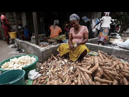  AMIDON DE MANIOC : Un autre produit dérivé qui fait bon marché