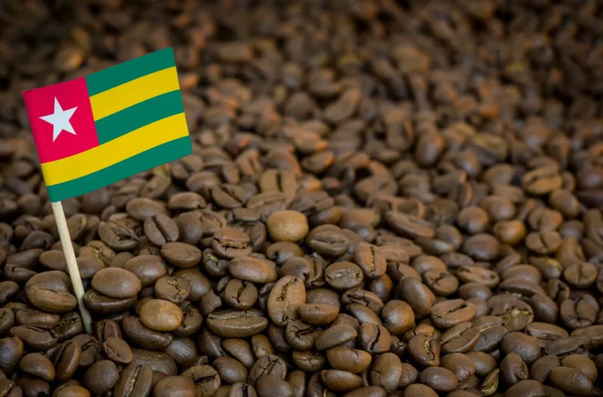  NOUVELLE ÈRE POUR LES PRODUCTEURS DE CAFÉ : Le Togo s’engage pour l’amélioration des revenus des producteurs de café