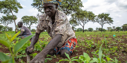  SOUTIEN AUX AGRICULTEURS DU SOUDAN DU SUD : La FAO et la Banque mondiale investissent 30 millions de dollars