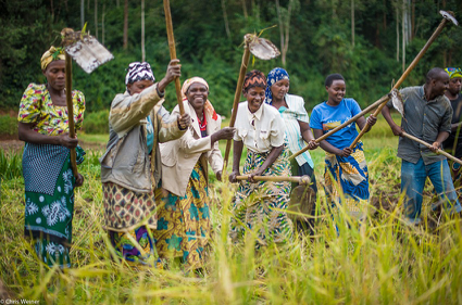  ENTRAIDE ENTRE FEMMES AGRICULTRICES EN MILIEU RURAL BIALI : Une tradition empreinte de profits