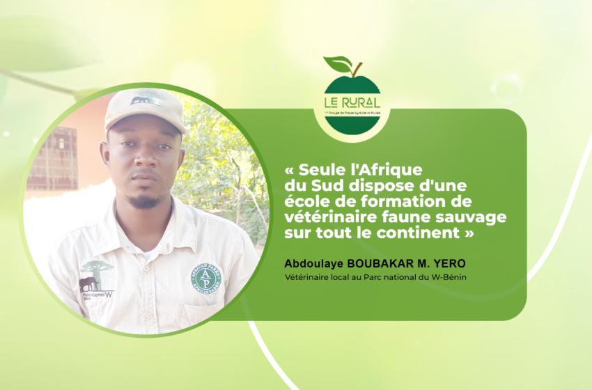  ABDOULAYE BOUBAKAR A PROPOS DU MANQUE DE VÉTÉRINAIRE DE LA FAUNE SAUVAGE : « Seule l’Afrique du Sud dispose d’une école de formation de vétérinaire faune sauvage sur tout le continent »