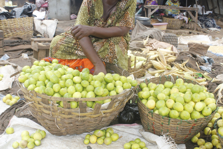  MARCHE DU CITRON AU BENIN : Face aux enjeux cruciaux, le maillon nécessite une attention particulière