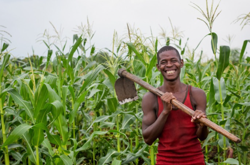  CARTE PROFESSIONNELLE AGRICOLE : Un outil qui rend bientôt le métier d’agriculteur très envié au Bénin