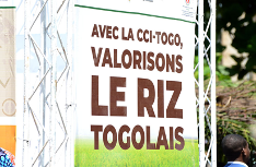  VALORISATION DU RIZ LOCAL :  Le Togo au cœur d’un projet de transformation économique