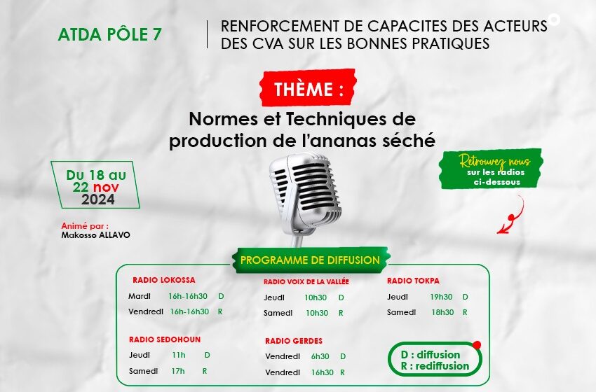  RENFORCEMENT DE CAPACITÉS DES ACTEURS DES CVA SUR LES BONNES PRATIQUES : Normes et Techniques de production de l’ananas séché