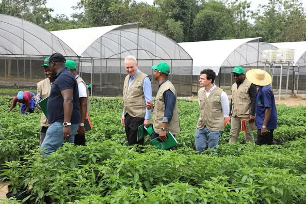 DÉVELOPPEMENT DES CHAÎNES DE VALEURS VIVRIÈRES EN CÔTE D’IVOIRE