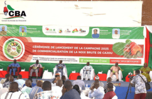 Le prix du kilogramme de noix brute de cajou au Burkina Faso connaît une hausse importante en 2025. Fixé à 385 FCFA, il marque une augmentation de 75 FCFA par rapport à l’année précédente.