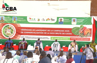 Le prix du kilogramme de noix brute de cajou au Burkina Faso connaît une hausse importante en 2025. Fixé à 385 FCFA, il marque une augmentation de 75 FCFA par rapport à l’année précédente.