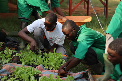 L’agroécologie s’impose progressivement comme un modèle de production durable dans plusieurs pays d'Afrique de l’Ouest.