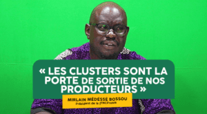 L’approche des clusters agricoles est en vogue au Bénin pour faciliter la mise sur le marché des produits. La filière maraîchère a connu beaucoup d’avancées dans la mise en œuvre de cette approche.