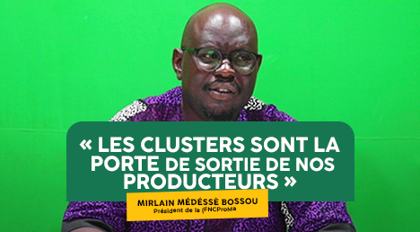 L’approche des clusters agricoles est en vogue au Bénin pour faciliter la mise sur le marché des produits. La filière maraîchère a connu beaucoup d’avancées dans la mise en œuvre de cette approche.