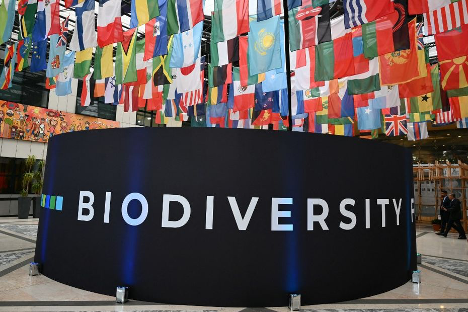 Après de longues négociations et quatre mois d’incertitudes suite à un précédent revers en Colombie, les délégations internationales réunies à Rome lors de la COP16 Biodiversité ont réussi, au terme des prolongations, à sceller un accord décisif.