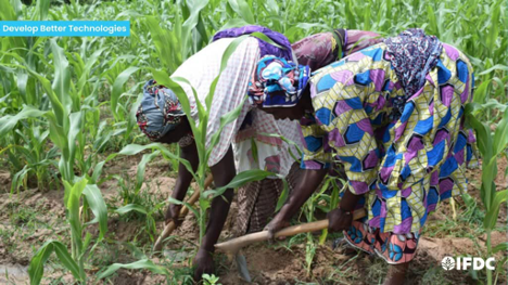 Chaque année, la communauté internationale célèbre le 8 mars, la Journée internationale des droits des femmes