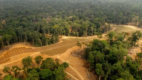 Au Nigeria, la FAO lance un projet ambitieux de restauration de 18 800 hectares de terres agricoles pour renforcer la culture du cacao et du palmier à huile.