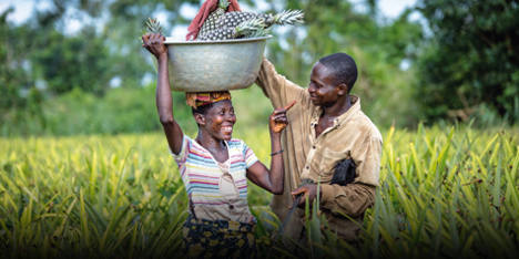 La nouvelle campagne agricole est lancée depuis quelques jours au Bénin. Après une saison marquée par des défis et des opportunités, les producteurs se mobilisent pour relever de nouveaux enjeux en vue de renforcer la souveraineté alimentaire du pays