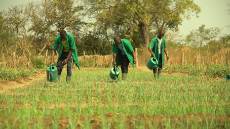 L’agriculture est au cœur du développement économique et social dans de nombreux pays, notamment en Afrique.