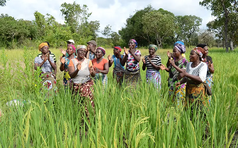 APPUI AUX FILIÈRES AGRICOLES