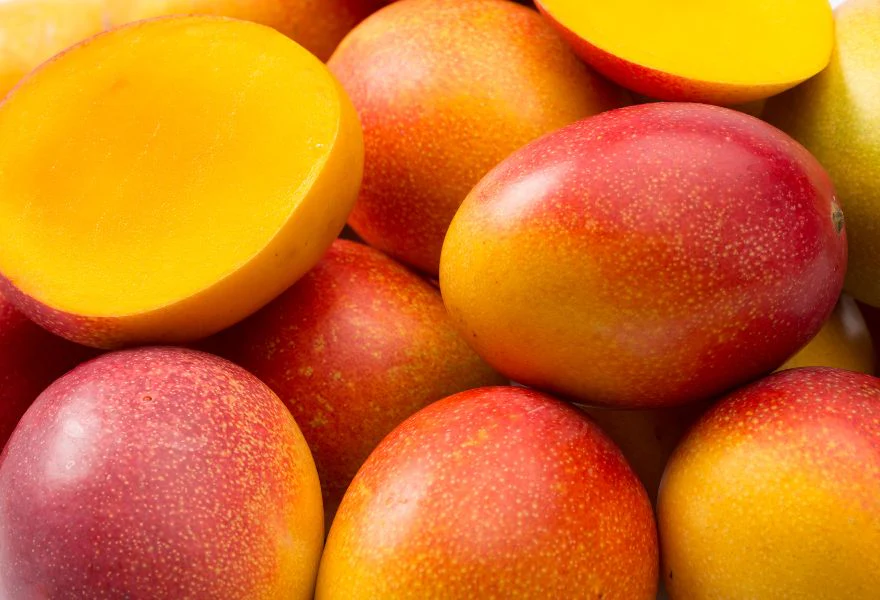 CONSERVATION DE MANGUE