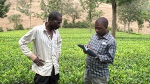 le logiciel RuralInvest intégré au Projet d’appui au développement agricole et à l’accès au marché (PADAAM), joue un rôle prépondérant dans l’accès aux financements d’établissements bancaires et de systèmes financiers locaux.