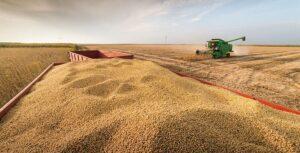 Après une campagne 2023/2024 difficile, la production céréalière du Maroc est en nette reprise pour 2025. Une bonne nouvelle pour la filière, même si les besoins du pays restent largement supérieurs à l’offre locale.