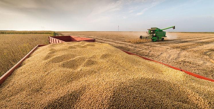Après une campagne 2023/2024 difficile, la production céréalière du Maroc est en nette reprise pour 2025. Une bonne nouvelle pour la filière, même si les besoins du pays restent largement supérieurs à l’offre locale.