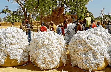 La Société internationale islamique de financement du commerce (ITFC) accorde un financement de 106 millions d’euros au Burkina Faso pour appuyer la campagne cotonnière. Ce soutien s’inscrit dans un accord-cadre mis en œuvre par la SOFITEX, visant à renforcer la filière coton, pilier de l’économie nationale.