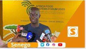 À quelques mois du Sommet annuel 2025 prévu du 31 août au 5 septembre, le Forum des systèmes alimentaires africains