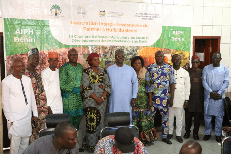 Démarrée depuis le jeudi 20 février dernier, l'Assemblée Générale Constitutive de la filière palmier à huile au Bénin a repris ce mardi 29 avril 2025 à la chambre nationale d'Agriculture du Bénin(CNAB).
