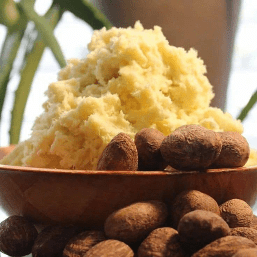 Depuis le second semestre de l’année 2024, les prix des amandes de karité ont connu une hausse spectaculaire. Auparavant accessible à la majorité des ménages et des unités de transformation, cette ressource locale voit ses prix tripler en quelques mois.