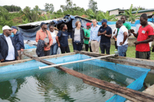 Une délégation de l’Union européenne et du ministère fédéral allemand de la Coopération économique et du Développement a séjourné en Côte d’Ivoire pour évaluer l’impact du programme FISH4ACP. Porté par la FAO, ce programme vise à booster la production nationale de tilapia, tout en renforçant les pratiques durables et l’implication des femmes et des jeunes dans la pisciculture.