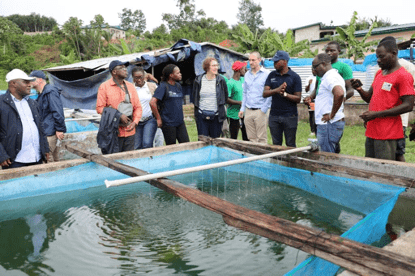Une délégation de l’Union européenne et du ministère fédéral allemand de la Coopération économique et du Développement a séjourné en Côte d’Ivoire pour évaluer l’impact du programme FISH4ACP. Porté par la FAO, ce programme vise à booster la production nationale de tilapia, tout en renforçant les pratiques durables et l’implication des femmes et des jeunes dans la pisciculture.