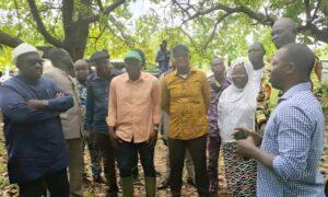La filière anacarde au Bénin amorce un tournant décisif avec le lancement de la campagne nationale 2025 dédiée à la plantation d’anacardiers et à la réhabilitation de 170.000 hectares de vergers anciens.