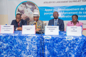 La FAO Bénin et le gouvernement s'engagent résolument dans la modernisation de la filière porcine à travers le lancement du projet TCP-BEN4002, intitulé « Appui au Développement de la filière porcine et renforcement de capacités des Coopératives d’Éleveurs ».