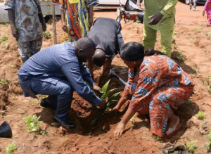 La 6ᵉ édition de la campagne nationale de plantation de palmier à huile a été officiellement lancée le mardi 24 juin 2025, sur le site de la Coopérative d’Aménagement Rural (CAR) de Obèkè-Ouèrè, dans la commune d’Adja-Ouèrè.