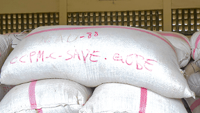 Une nouvelle opportunité s’offre aux producteurs de la Coopérative Communale des Producteurs de Maïs (CCPM) de Savè. Ils vont fournir 100 tonnes de maïs à l’Agence Nationale de l’Alimentation et de la Nutrition (ANAN) dans le cadre du programme des cantines scolaires.Ce partenariat s’inscrit dans l’engagement du programme ACMA3 qui vise à faciliter l’accès des producteurs locaux aux marchés institutionnels.