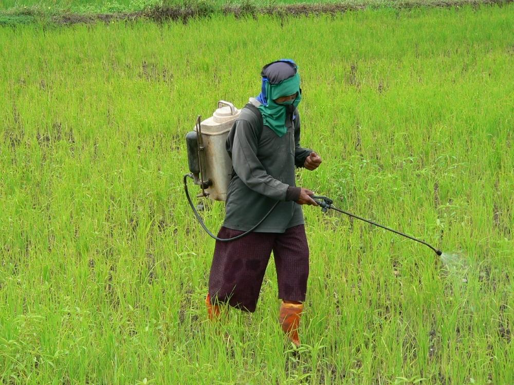 Le mercredi 2 juillet 2025, le Conseil des ministres du Bénin a décidé d’interdire aux services techniques publics de faire des prestations phytosanitaires payantes. Cette décision veut arrêter les agents publics qui réalisent ces services sans autorisation. Le ministre de l’Agriculture doit faire respecter cette règle et punir ceux qui ne l’appliquent pas.