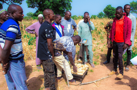 Le programme Acma 3 a permis aux producteurs de maïs de la commune de Bembéréké, d'adopter des techniques innovantes pour améliorer leur production.