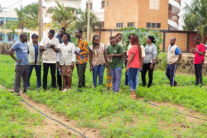 Du 16 au 18 juillet 2025, vingt animateurs ont bénéficié d’une formation intensive à Grand-Popo dans le cadre du renforcement du dispositif de certification Bio SPG (Système Participatif de Garantie).