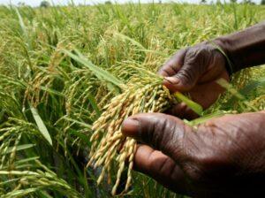 Le Bénin parmi les 13 pays ouest-africains à bénéficier de 5,8 milliards FCFA de la BAD