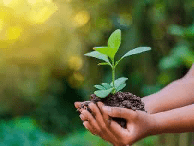 Le Conseil des ministres du mercredi 2 juillet 2025 a adopté, en deuxième décision, un projet de loi sur l’environnement en République du Bénin. 