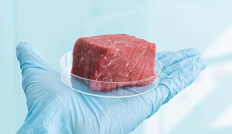 La viande artificielle, ou viande cultivée, quitte déjà les laboratoires et fait ces premières apparitions dans les assiettes.